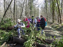 2018-03-11-meudon (45)